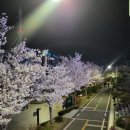 진한국(진짜한우국밥) 이미지