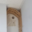 코아프라자 이미지