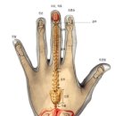 신평한의원 이미지