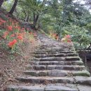 부영당 - 사상구 가야대로306번길 11 | 부영당