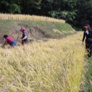 교리농장 이미지