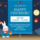 라이즈하남미사어학원