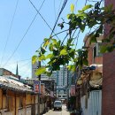 19/08/19 “고통받는 이들에게 다가가는 복지 절실” - 전주 여인숙 또 화재 참사, 적정 주거기준 시급 이미지