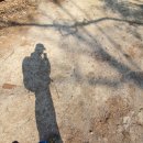 또봉이통닭 수유사일구탑점 이미지