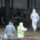 (주)우정바이오 이미지