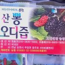장생생약