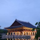 경복궁 야간개장 2025 후기 + 자우림 김윤아 실물 목격했어요!