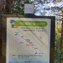 대전둘레산길(10구간) | 대전 빈계산~안두리봉~산장산(대전둘레산길10구간~!!)