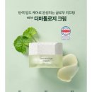 인셀덤 &#39;부세크&#39;가 특별한 이유