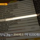 엘슈퍼마켓 이미지