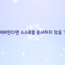 드래곤킹덤