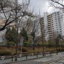 개포석영공인중개사사무소 이미지