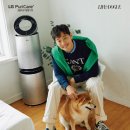 도그스타일 이미지