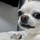 잘자