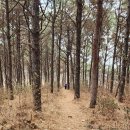 길상면-3 이미지