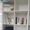 커브스 봉천클럽 이미지