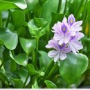 하나로 메디칼 이미지