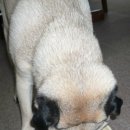 주식회사 아이웰니스 이미지