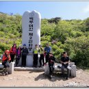 소백산- 연두빛 녹음과 자연의 신비로움이 공존하는 곳. 이미지