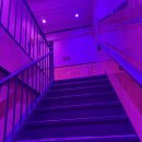 나우호텔 | 뉴욕 여행 가성비 1인실 호텔 나우나우노호 4박 솔직 후기