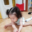 서은 Daum카페