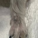 관저종합동물병원 이미지