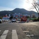 시온청과 이미지