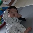 사구려플라워 이미지
