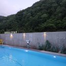 GS25 단양온달 네이버블로그