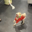 스테이 더 나잇 이미지