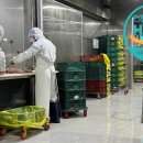 하림옛날통닭 이미지