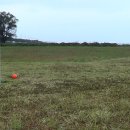 파크골프 이미지