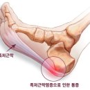 기본 필라테스&피티# 이미지