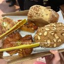 유성토박이 | 서울사는 대전토박이도 사본 성심당 망고시루 주말 구매 후기 🥭🎂