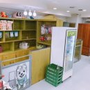 예쁜 애견 미용 이미지