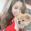 (주)소담 이미지