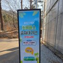 솔향수목원(솔숲광장) | 강릉여행 강릉솔향수목원 겨울풍경 초록버스 온실