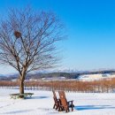 예산목장 이미지