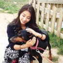 보라민박 이미지