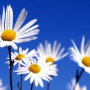 중앙안전 이미지