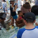 앤씨푸드영어조합법인 이미지