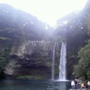 천지연무태장어천지연 이미지