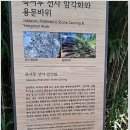 2024 8/1 여름휴가(삼척 죽서루) 이미지