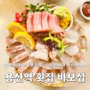 용산역 | 용산역 횟집 바보섬 솔직후기, 모듬회 내돈내산