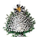 봉암동011 이미지