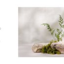 강남르시엘여성의원 이미지