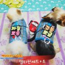 뽀송 이미지