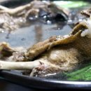 가야골수라간 이미지