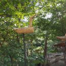 정수산장펜션 이미지