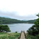 사라의 정원 이미지